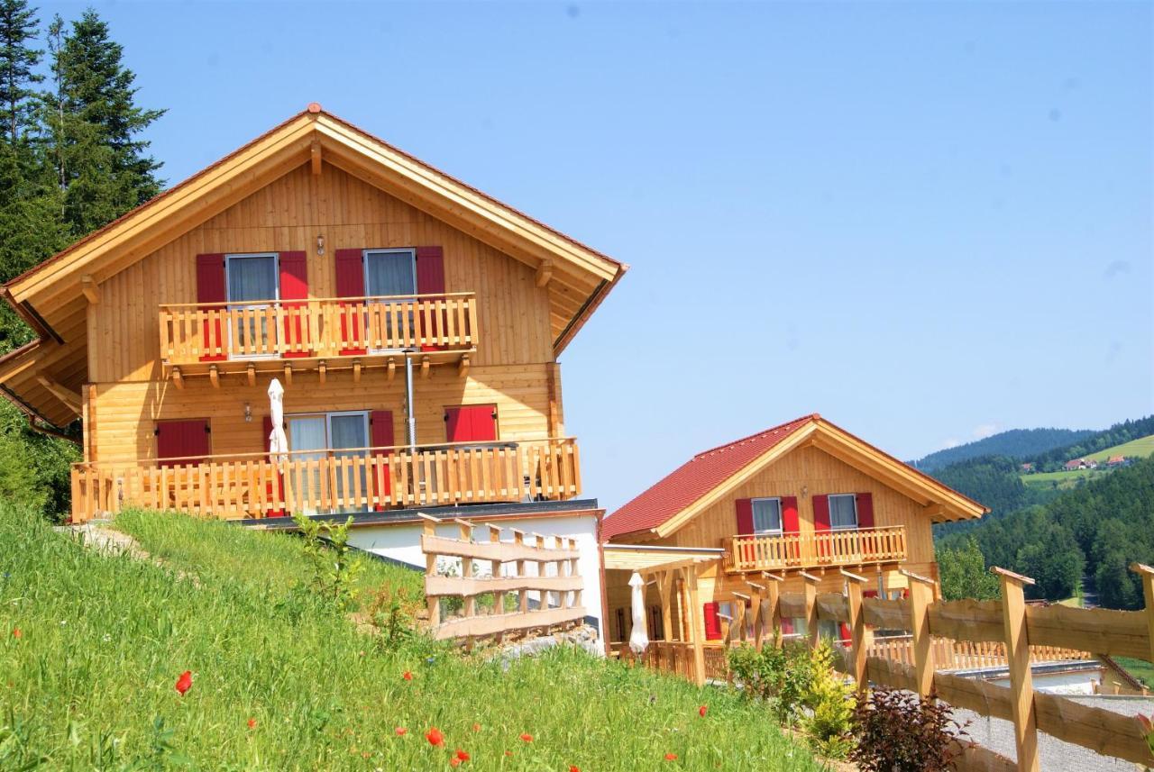 Bergchalet Am Waldrand - Pool, Sauna & Kamin Pöllauberg 外观 照片
