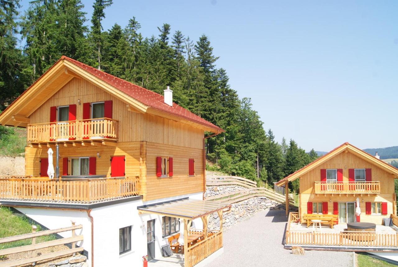Bergchalet Am Waldrand - Pool, Sauna & Kamin Pöllauberg 外观 照片