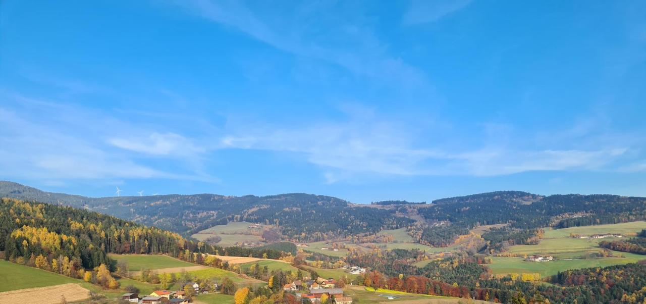 Bergchalet Am Waldrand - Pool, Sauna & Kamin Pöllauberg 外观 照片