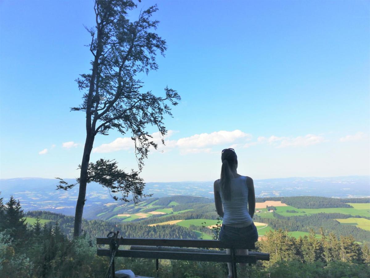 Bergchalet Am Waldrand - Pool, Sauna & Kamin Pöllauberg 外观 照片